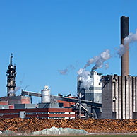 Houtstapels voor papierfabriek, Zweden
